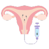 IUI Icon
